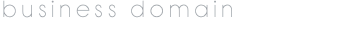 business domain