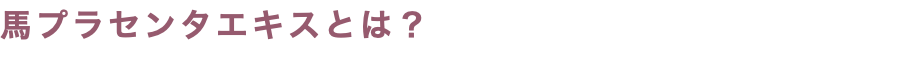 馬プラセンタエキスとは？