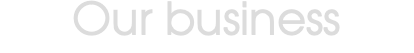Our business