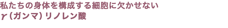 私たちの身体を構成する細胞に欠かせない γ（ガンマ）リノレン酸