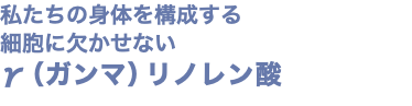 私たちの身体を構成する 細胞に欠かせない γ（ガンマ）リノレン酸