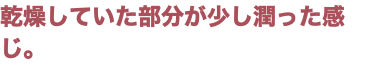 乾燥していた部分が少し潤った感じ。